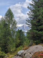 20250913_155408000_iOS 1.jpg